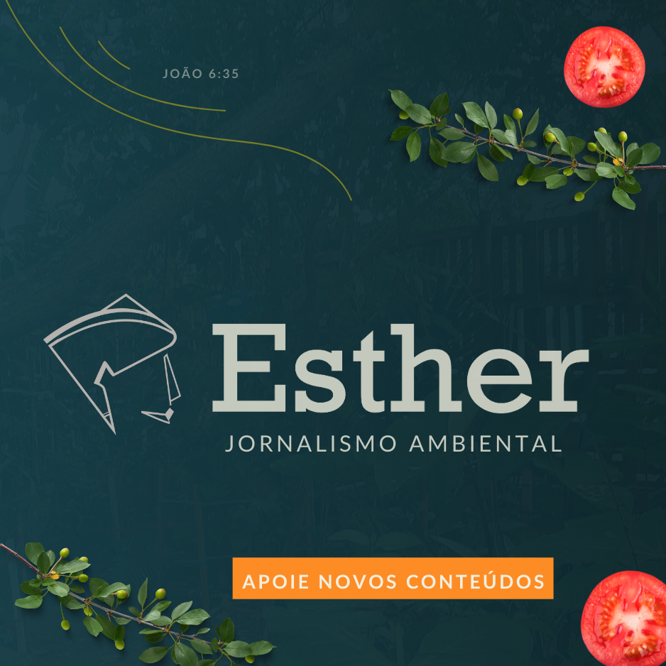 /apidata/imgcache/20a1984ee72e29ed46a44e42ade4e864.png?banner=col4&when=1770024344&who=220