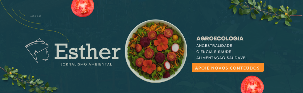 /apidata/imgcache/b4579e57e49be585de9255b628ffefd4.png?banner=postmiddle&when=1770017947&who=220