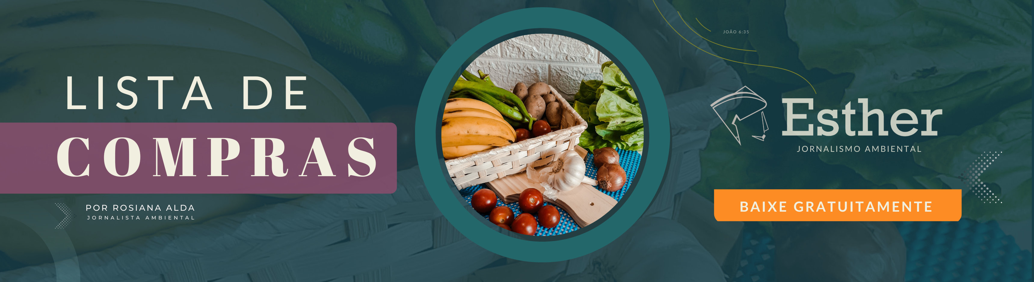 /apidata/imgcache/b9e31123555b496ea030bdf724df0b62.png?banner=top&when=1770017552&who=220